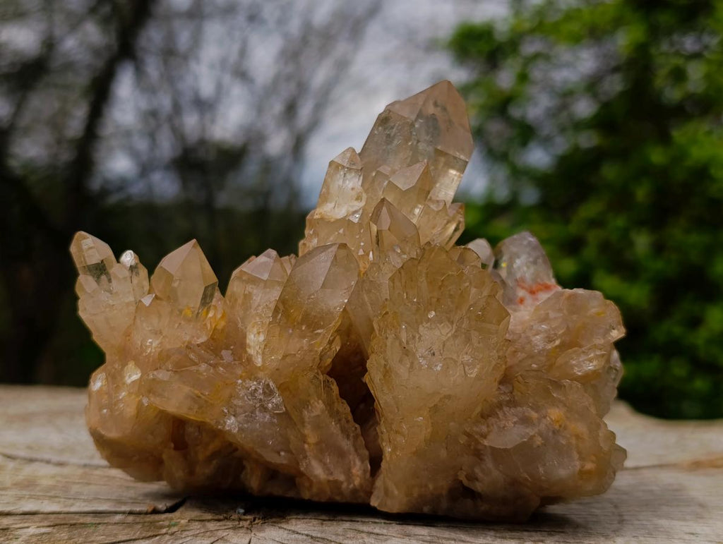 Natural Cascading Luena Citrine Crystal Cluster x 1 From Luena, Congo