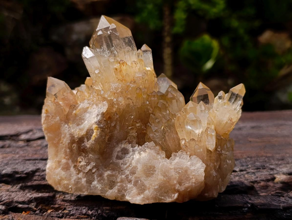 Natural Cascading Luena Citrine Crystal Cluster x 1 From Luena, Congo