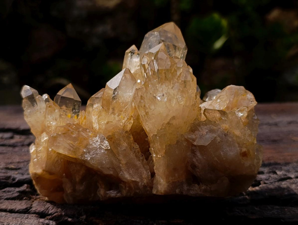 Natural Cascading Luena Citrine Crystal Cluster x 1 From Luena, Congo