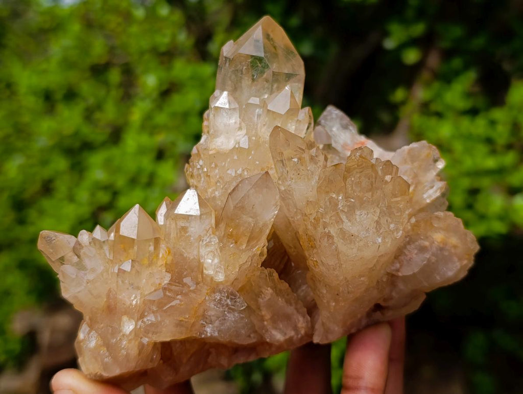 Natural Cascading Luena Citrine Crystal Cluster x 1 From Luena, Congo