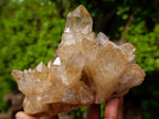 Natural Cascading Luena Citrine Crystal Cluster x 1 From Luena, Congo