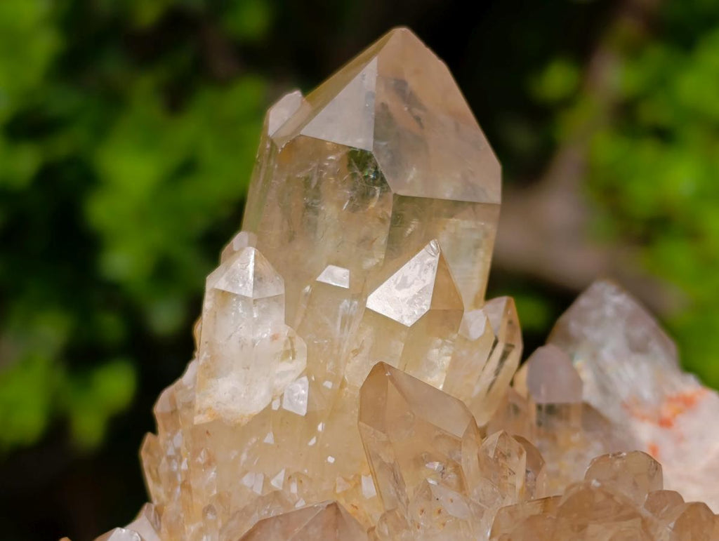 Natural Cascading Luena Citrine Crystal Cluster x 1 From Luena, Congo