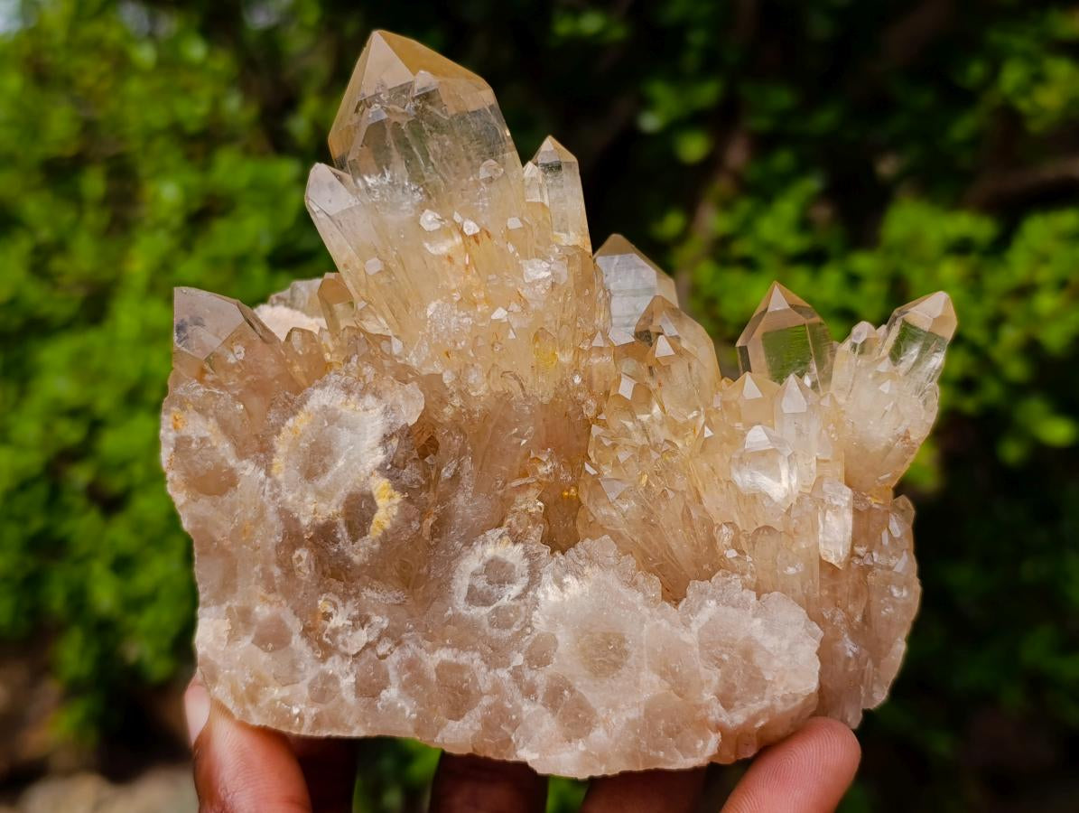 Natural Cascading Luena Citrine Crystal Cluster x 1 From Luena, Congo