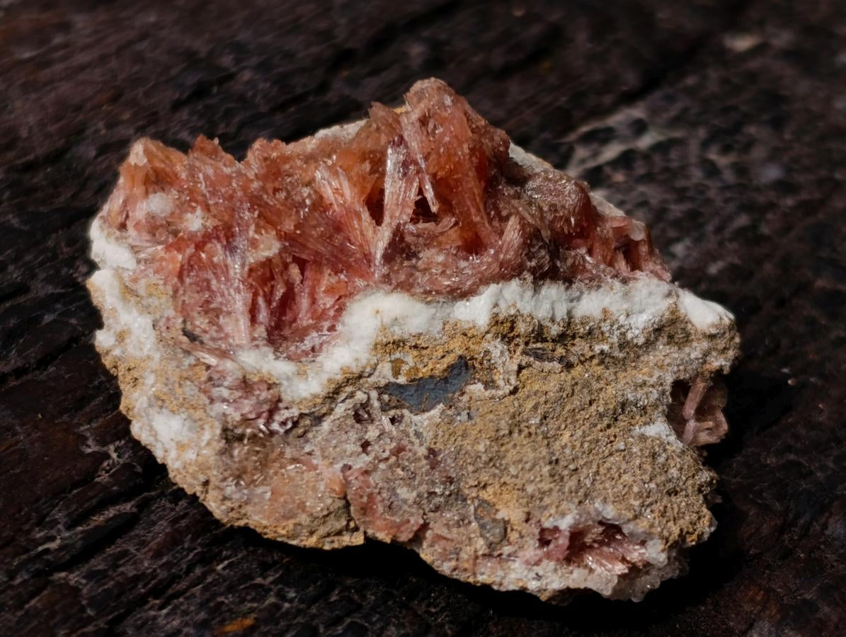 Natural Super Rare Orange Red Inesite Crystalline Specimen x 1 From Wessels Mine, South Africa