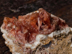 Natural Super Rare Orange Red Inesite Crystalline Specimen x 1 From Wessels Mine, South Africa