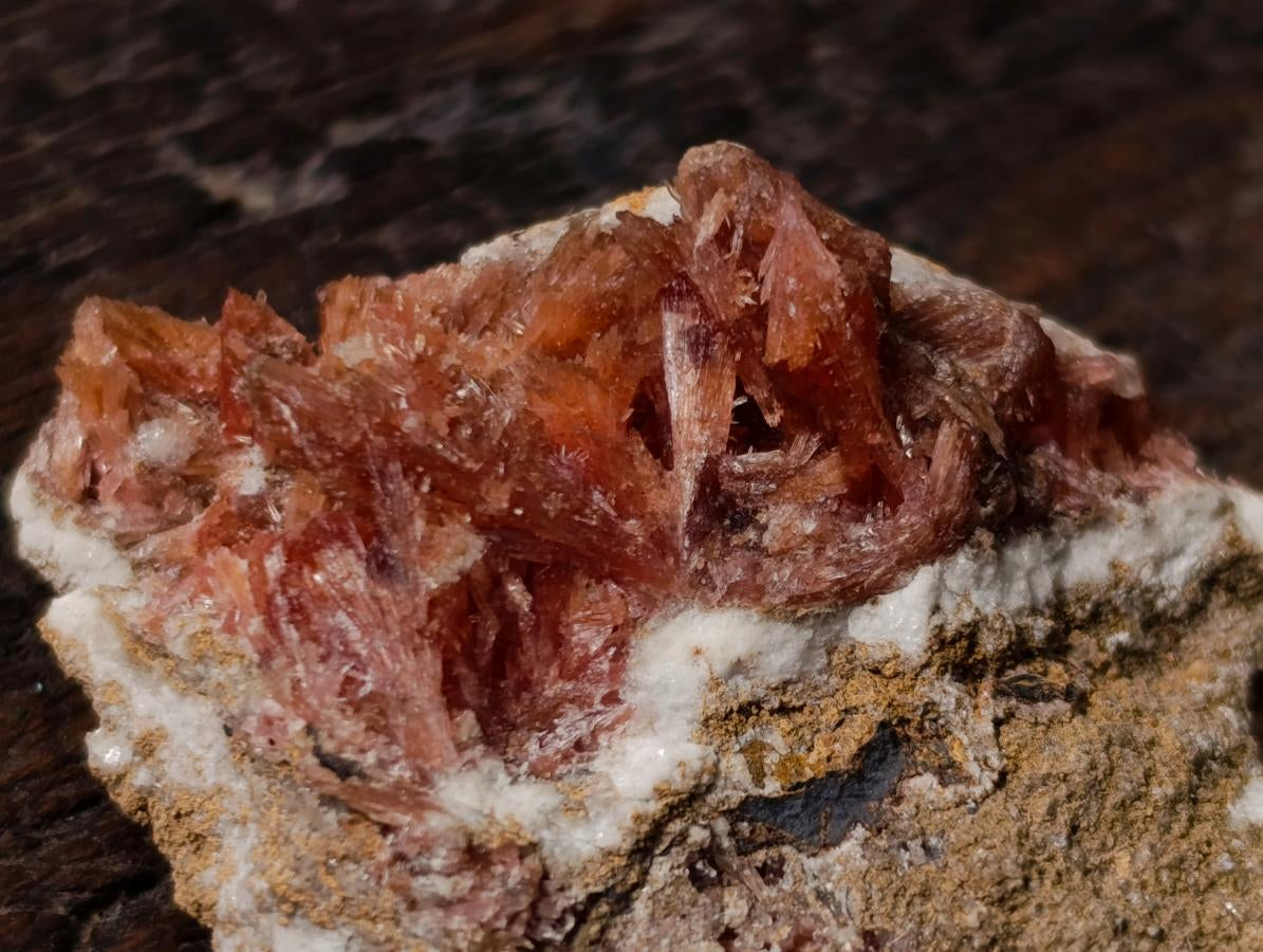 Natural Super Rare Orange Red Inesite Crystalline Specimen x 1 From Wessels Mine, South Africa