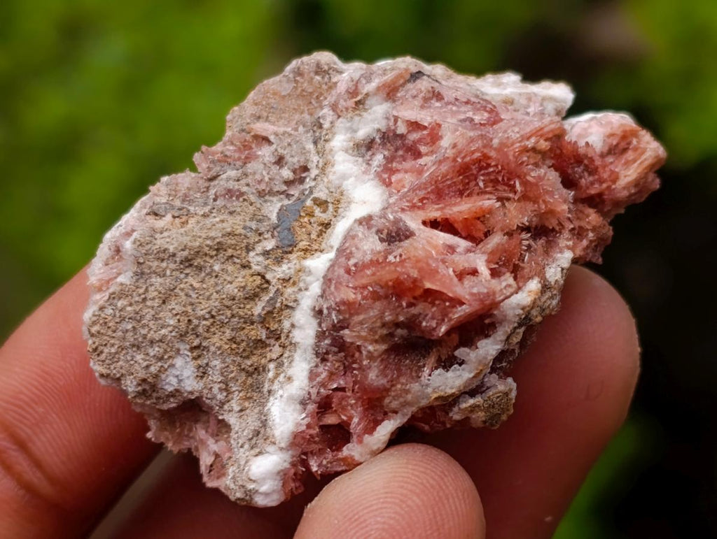 Natural Super Rare Orange Red Inesite Crystalline Specimen x 1 From Wessels Mine, South Africa