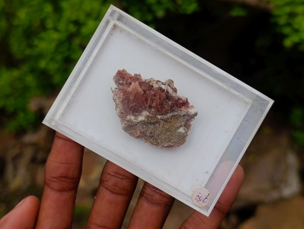 Natural Super Rare Orange Red Inesite Crystalline Specimen x 1 From Wessels Mine, South Africa