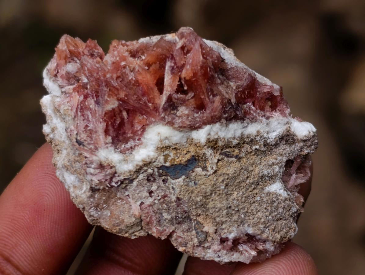 Natural Super Rare Orange Red Inesite Crystalline Specimen x 1 From Wessels Mine, South Africa