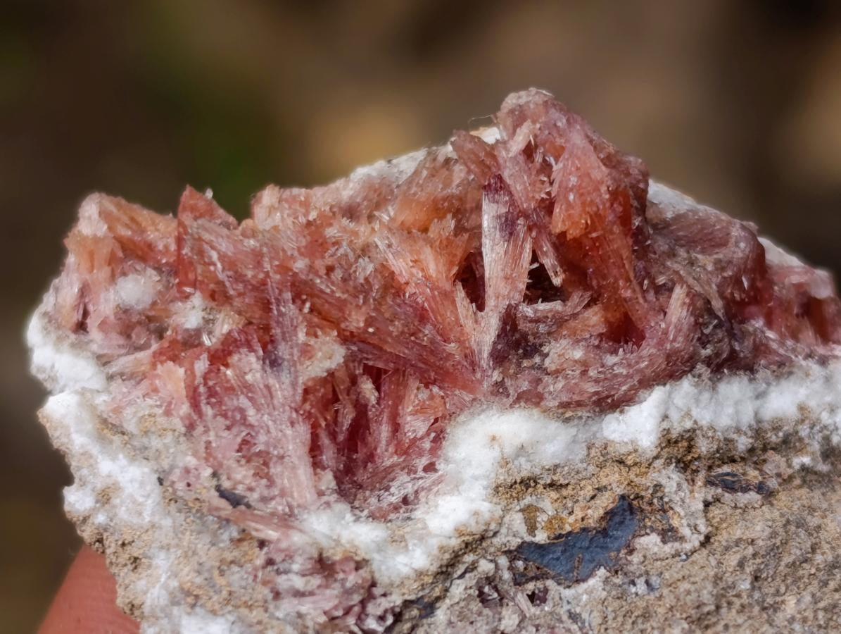 Natural Super Rare Orange Red Inesite Crystalline Specimen x 1 From Wessels Mine, South Africa