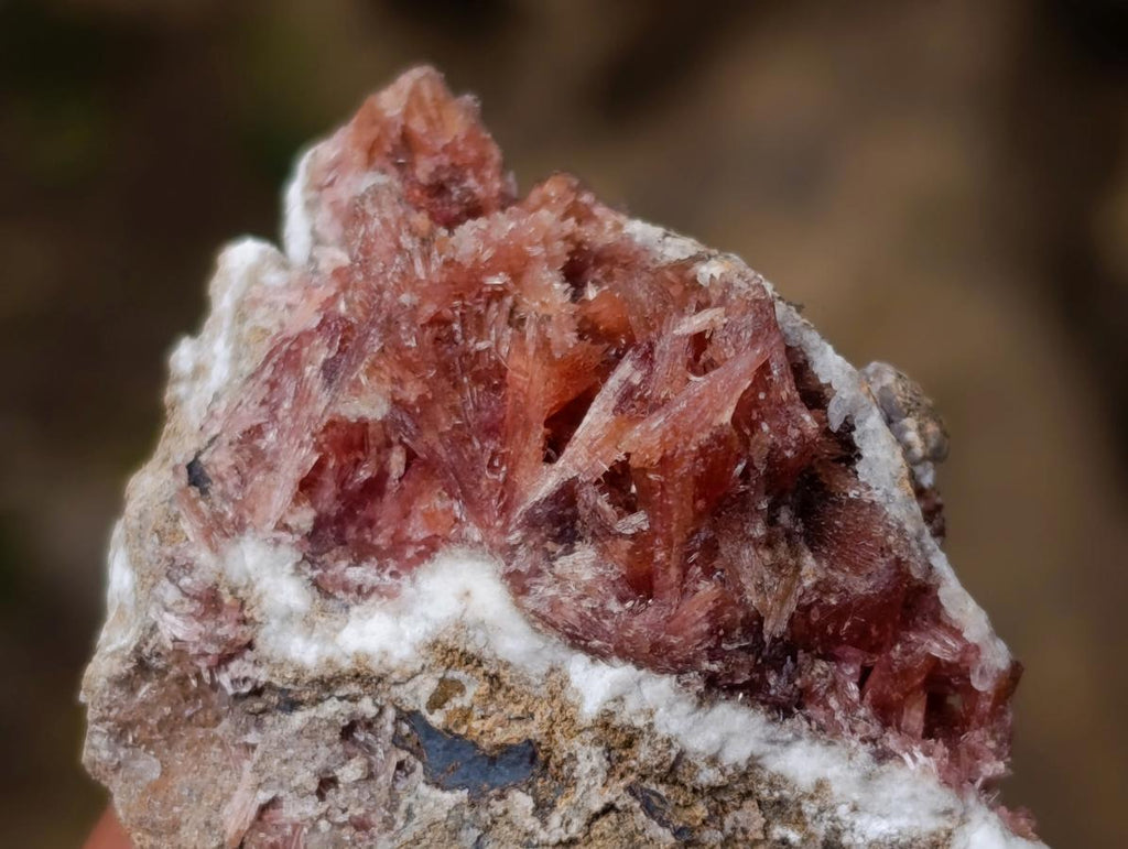 Natural Super Rare Orange Red Inesite Crystalline Specimen x 1 From Wessels Mine, South Africa