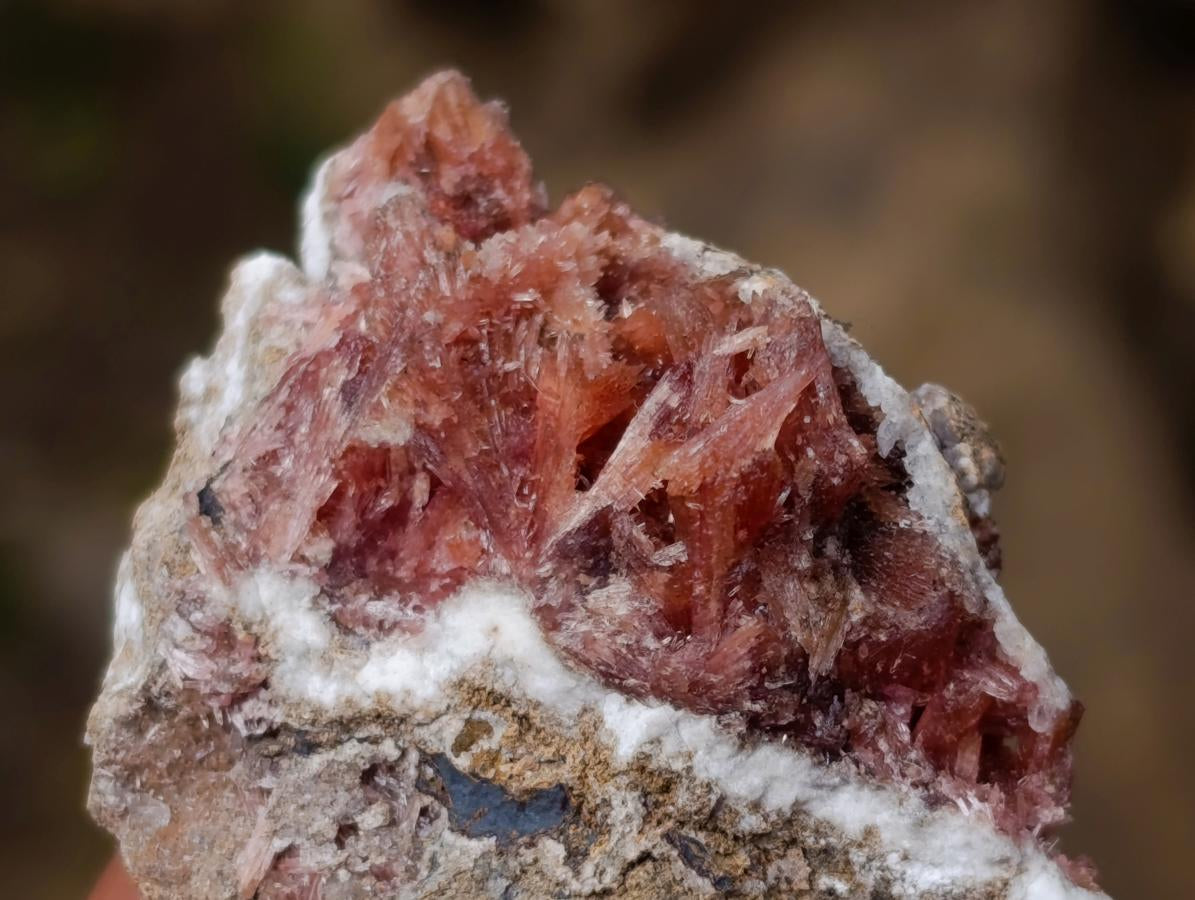 Natural Super Rare Orange Red Inesite Crystalline Specimen x 1 From Wessels Mine, South Africa