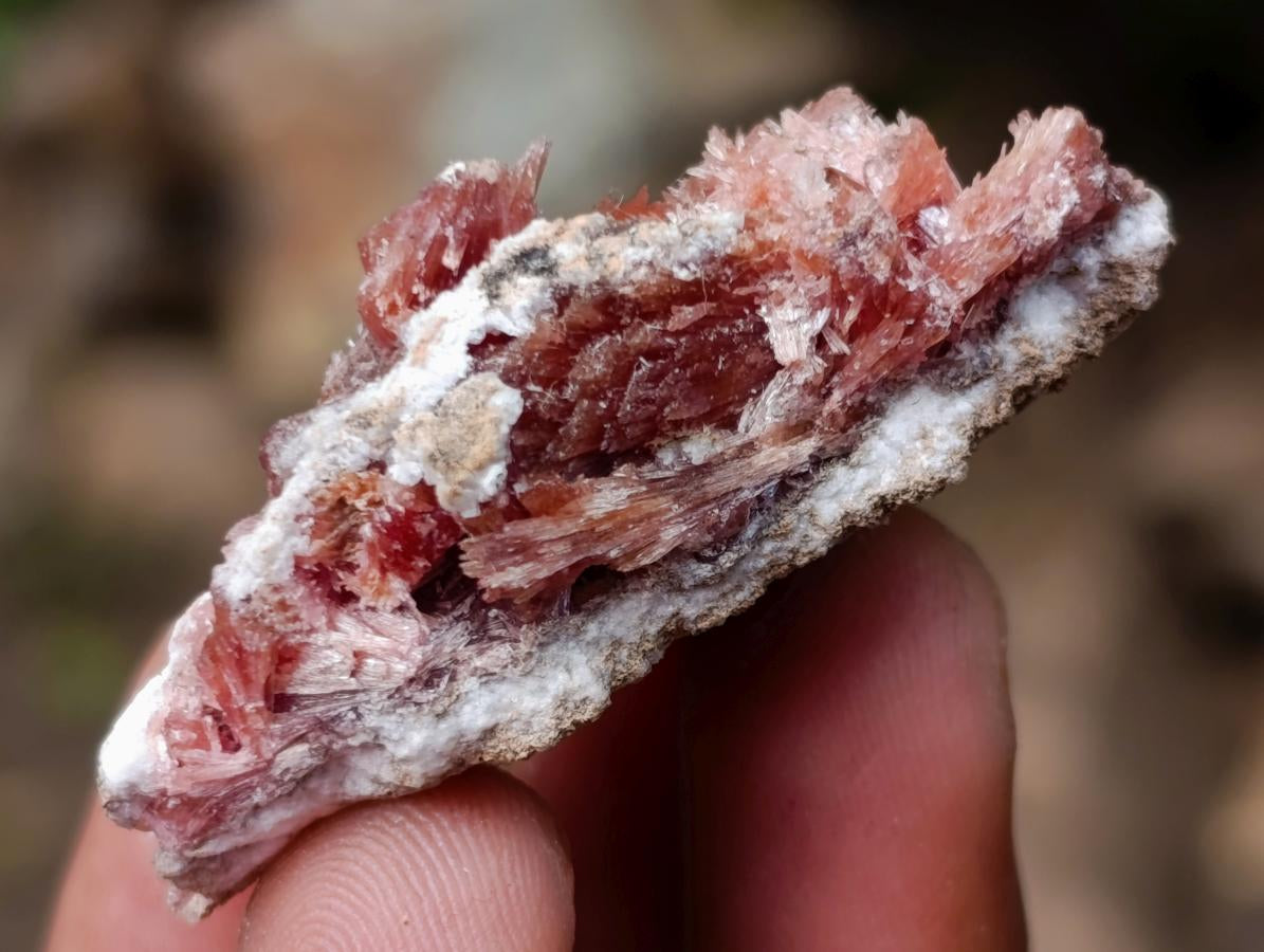 Natural Super Rare Orange Red Inesite Crystalline Specimen x 1 From Wessels Mine, South Africa