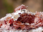 Natural Super Rare Orange Red Inesite Crystalline Specimen x 1 From Wessels Mine, South Africa