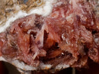 Natural Super Rare Orange Red Inesite Crystalline Specimen x 1 From Wessels Mine, South Africa