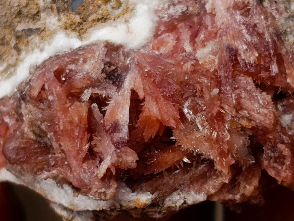 Natural Super Rare Orange Red Inesite Crystalline Specimen x 1 From Wessels Mine, South Africa