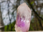 Natural Amethyst Enhydro Brandberg Quartz Crystal x 1 From Brandberg, Namibia
