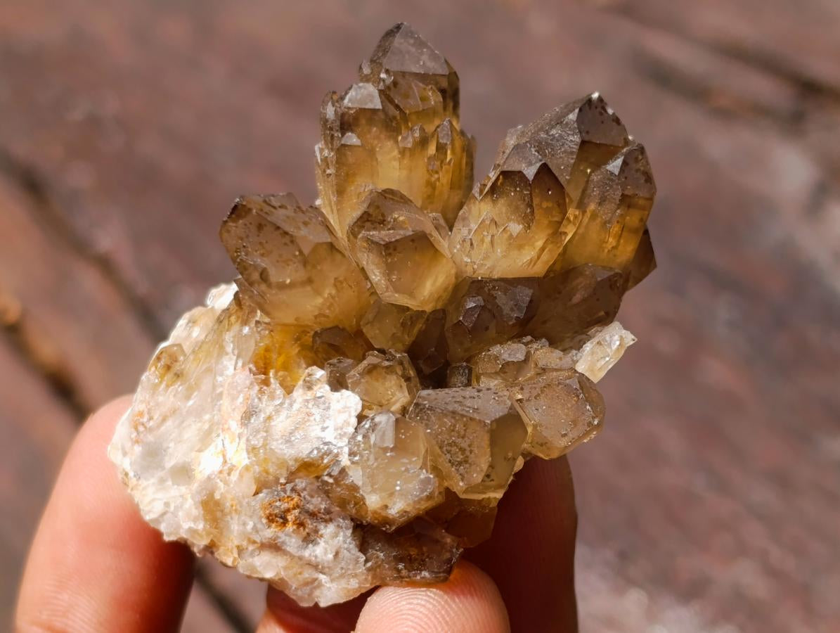 Natural Mixed Set of 20 African Mineral Crystal and Fossil Specimens in a Wooden Display Box x 1 From Southern Africa