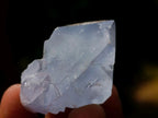 Natural Mixed Set of 20 African Mineral Crystal and Fossil Specimens in a Wooden Display Box x 1 From Southern Africa