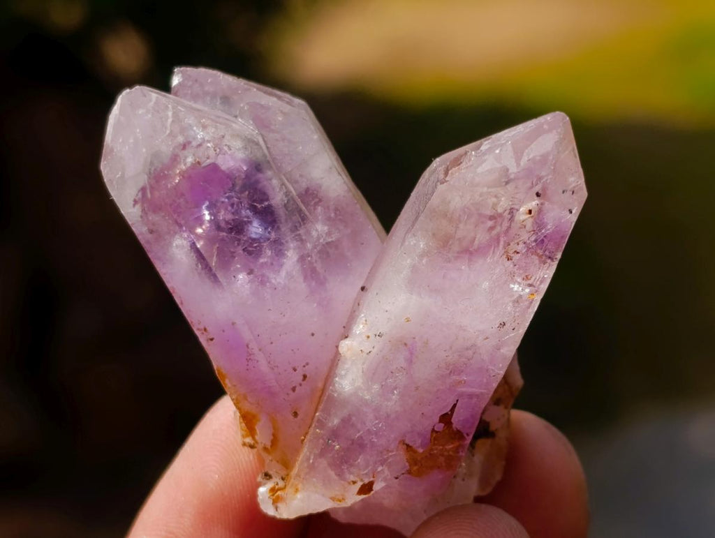 Natural Mixed Set of 20 African Mineral Crystal and Fossil Specimens in a Wooden Display Box x 1 From Southern Africa
