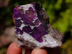 Natural Mixed Set of 20 African Mineral Crystal and Fossil Specimens in a Wooden Display Box x 1 From Southern Africa