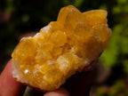 Natural Mixed Set of 20 African Mineral Crystal and Fossil Specimens in a Wooden Display Box x 1 From Southern Africa
