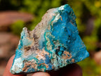 Natural Mixed Set of 20 African Mineral Crystal and Fossil Specimens in a Wooden Display Box x 1 From Southern Africa