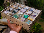 Natural Mixed Set of 20 African Mineral Crystal and Fossil Specimens in a Wooden Display Box x 1 From Southern Africa
