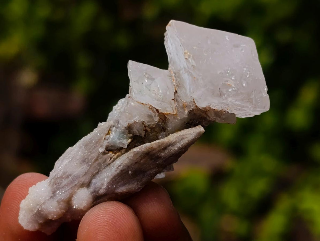 Natural Mixed Set of 20 African Mineral Crystal and Fossil Specimens in a Wooden Display Box x 1 From Southern Africa