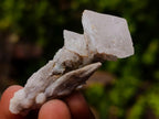 Natural Mixed Set of 20 African Mineral Crystal and Fossil Specimens in a Wooden Display Box x 1 From Southern Africa