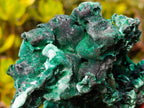 Natural Superb Silky Malachite Specimen x 1 From Kasompe, Congo