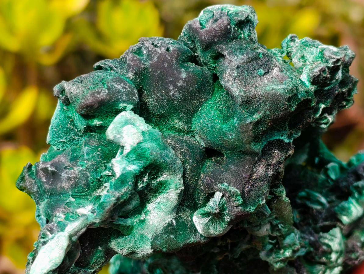 Natural Superb Silky Malachite Specimen x 1 From Kasompe, Congo