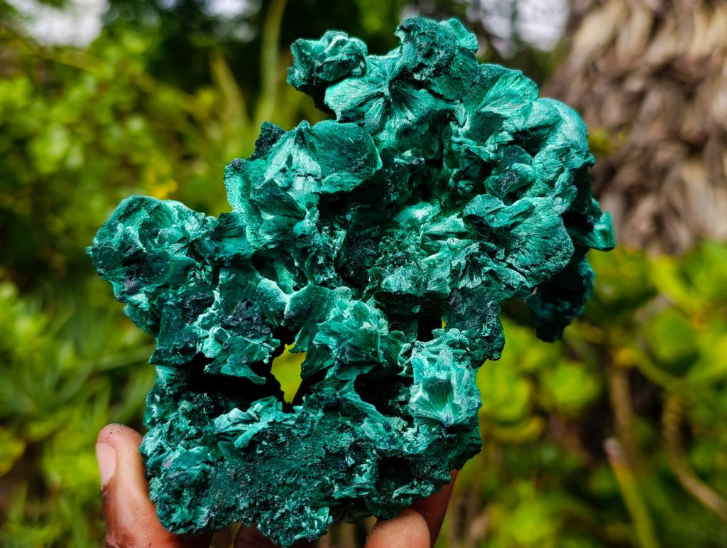 Natural Superb Silky Malachite Specimen x 1 From Kasompe, Congo
