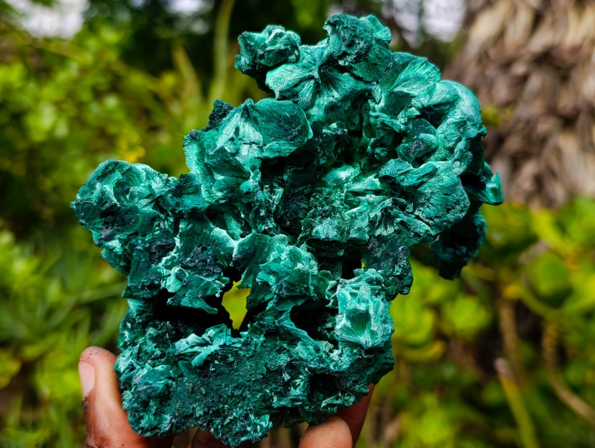 Natural Superb Silky Malachite Specimen x 1 From Kasompe, Congo