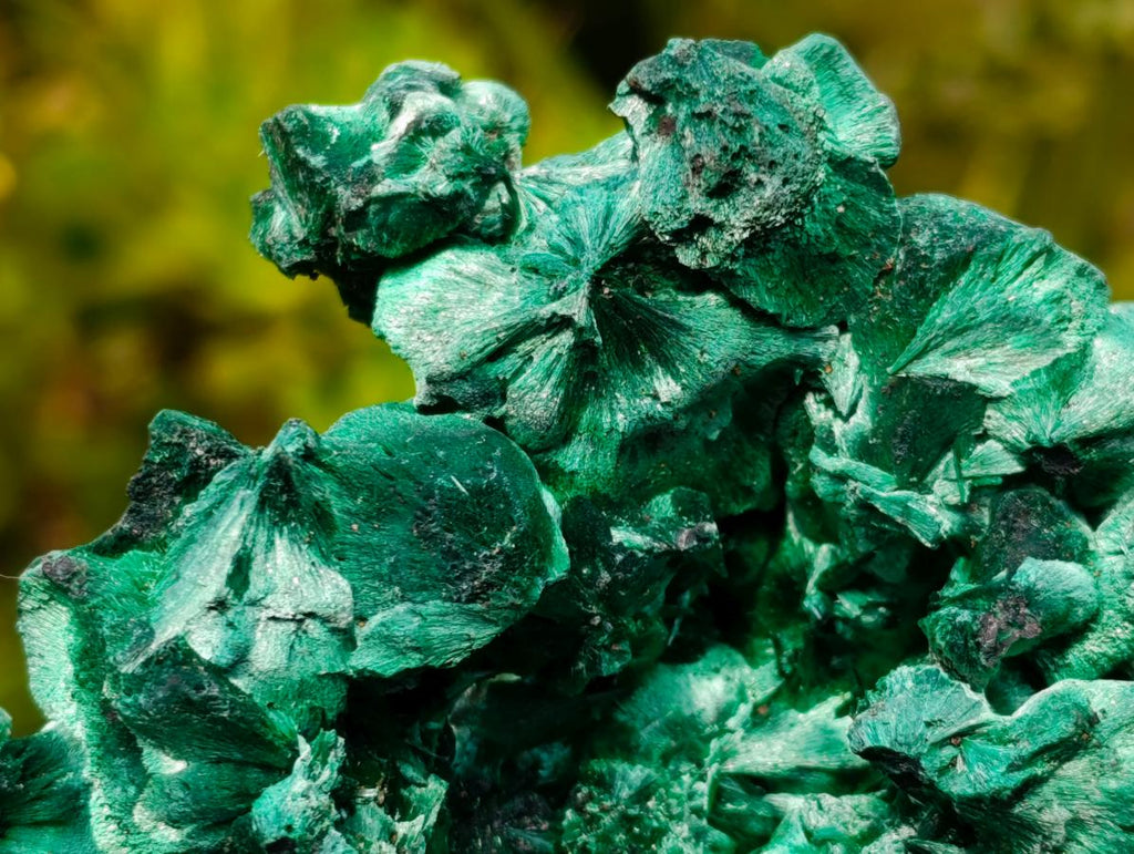 Natural Superb Silky Malachite Specimen x 1 From Kasompe, Congo