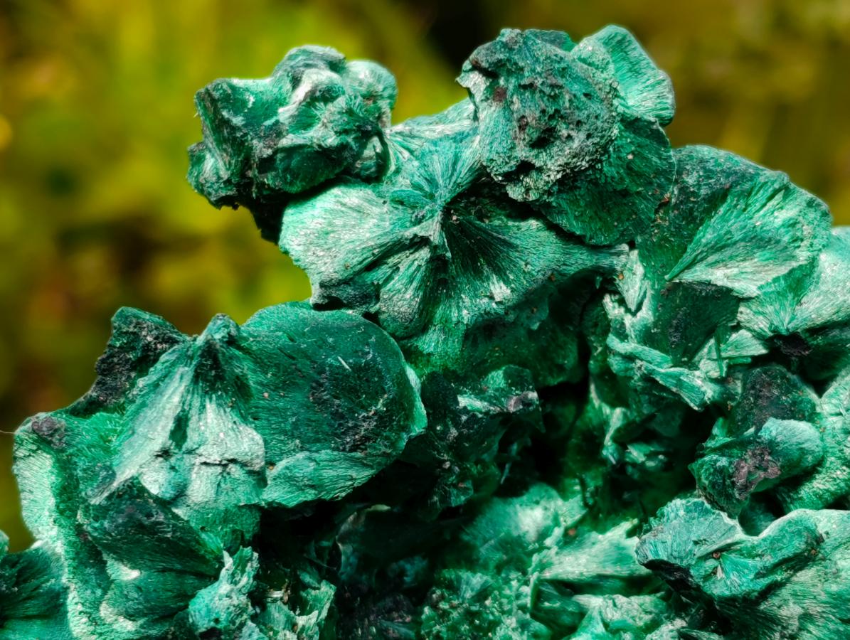 Natural Superb Silky Malachite Specimen x 1 From Kasompe, Congo
