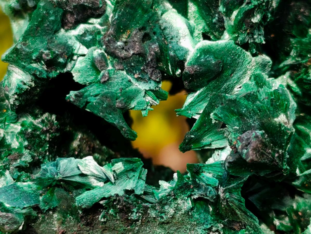 Natural Superb Silky Malachite Specimen x 1 From Kasompe, Congo