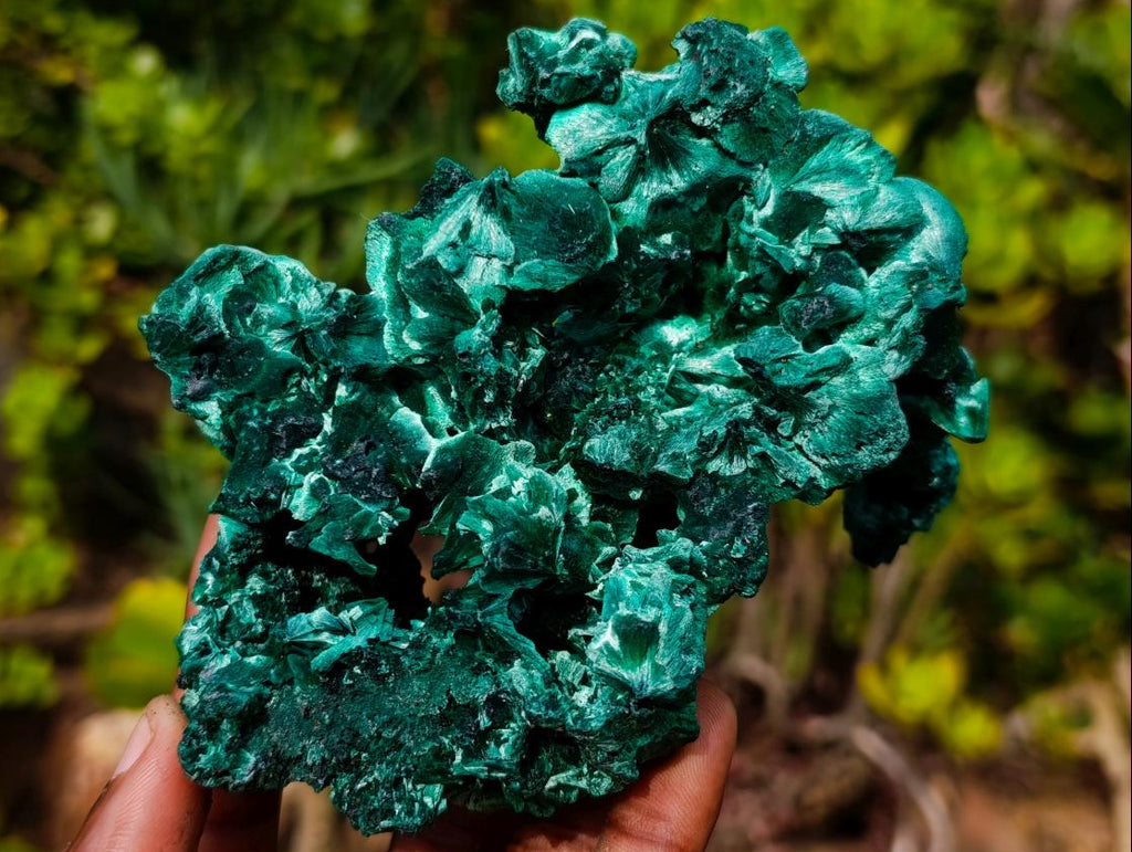 Natural Superb Silky Malachite Specimen x 1 From Kasompe, Congo
