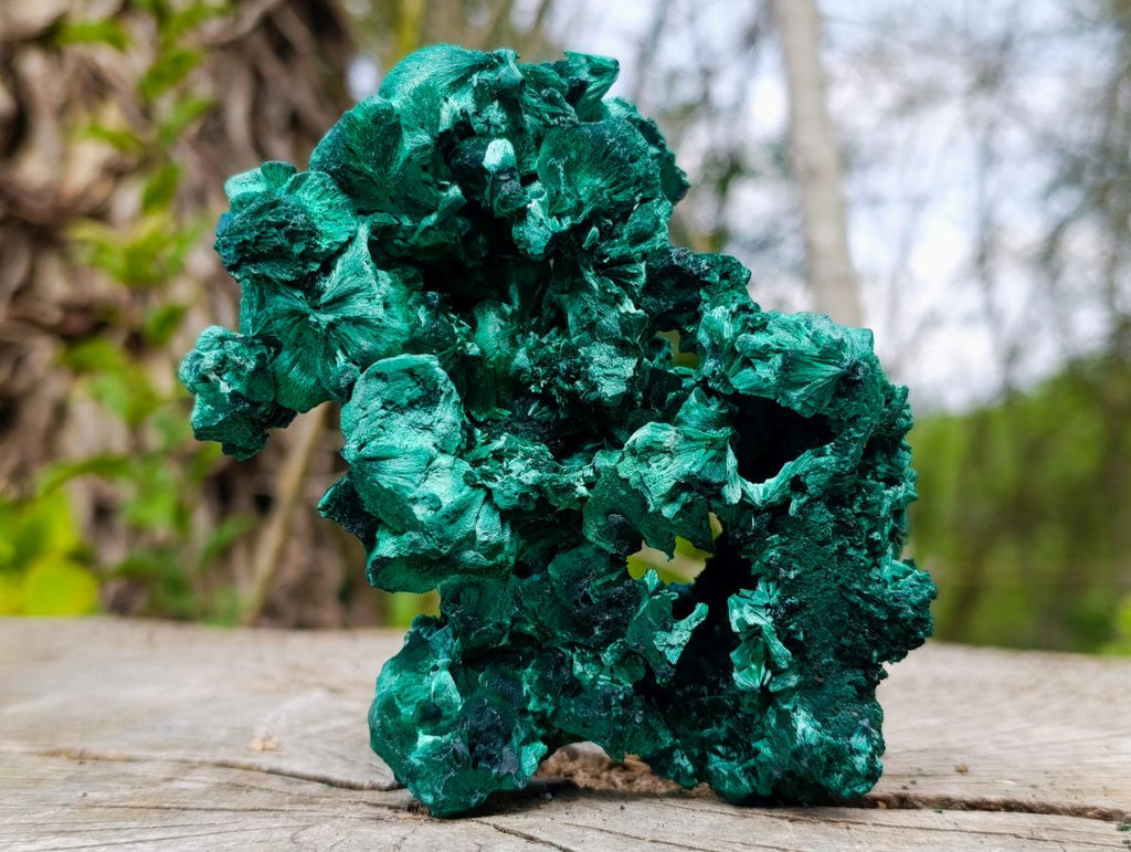 Natural Superb Silky Malachite Specimen x 1 From Kasompe, Congo