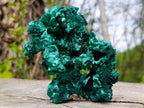 Natural Superb Silky Malachite Specimen x 1 From Kasompe, Congo