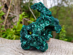 Natural Superb Silky Malachite Specimen x 1 From Kasompe, Congo