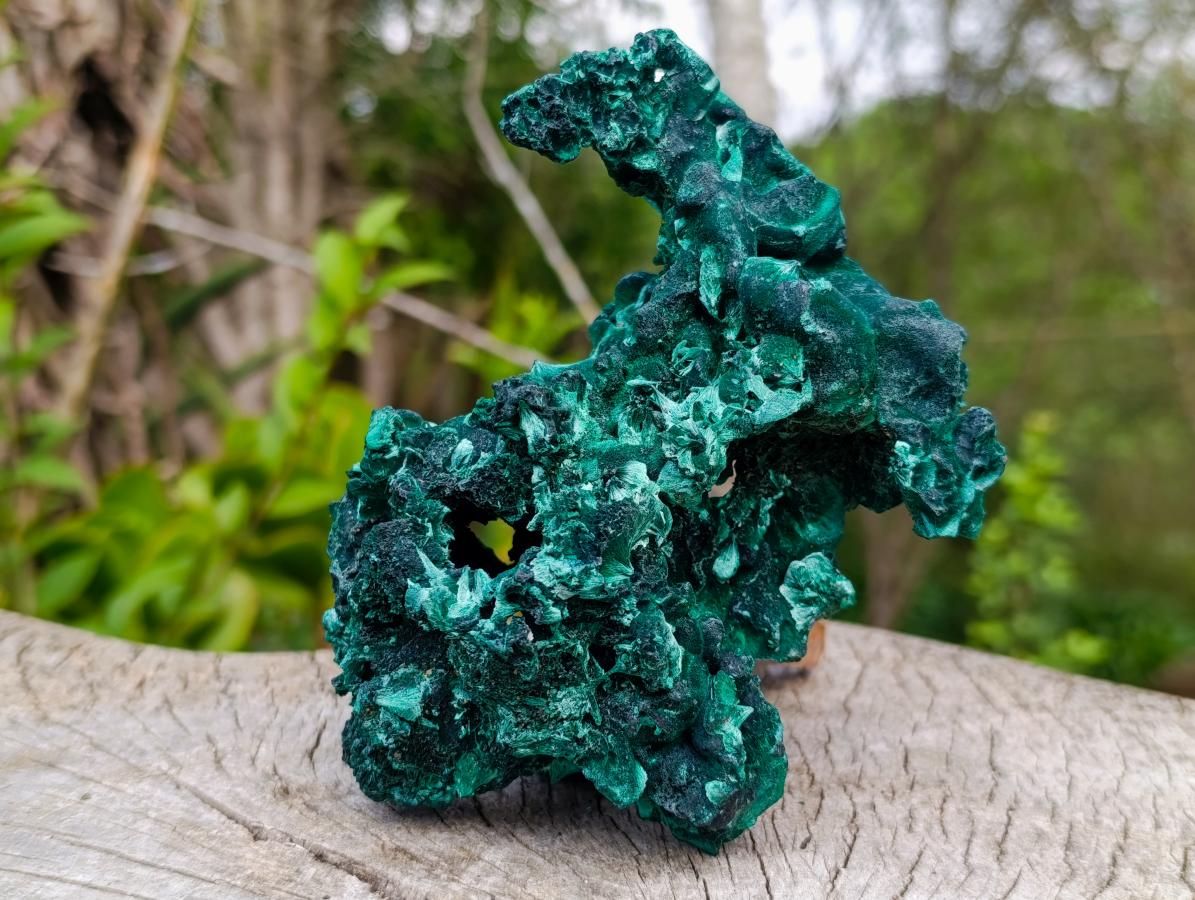 Natural Superb Silky Malachite Specimen x 1 From Kasompe, Congo