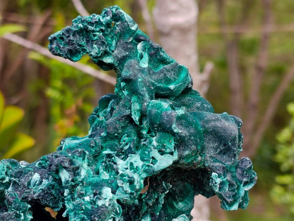 Natural Superb Silky Malachite Specimen x 1 From Kasompe, Congo