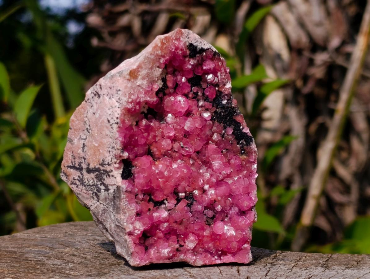 Natural Gemmy Hot Pink Botryoidal Spherocobaltite Classic Cabinet Specimen x 1 From Mashamba West Mine, Congo