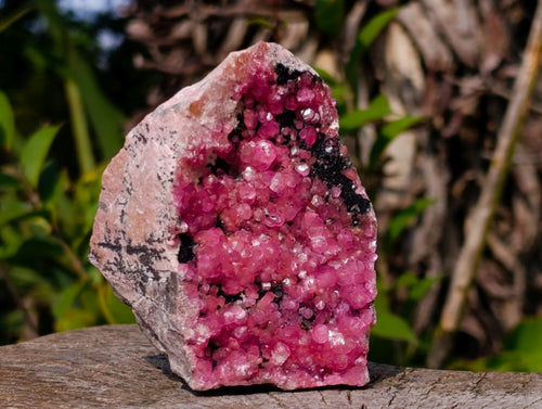 Natural Gemmy Hot Pink Botryoidal Spherocobaltite Classic Cabinet Specimen x 1 From Mashamba West Mine, Congo