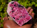 Natural Gemmy Hot Pink Botryoidal Spherocobaltite Classic Cabinet Specimen x 1 From Mashamba West Mine, Congo