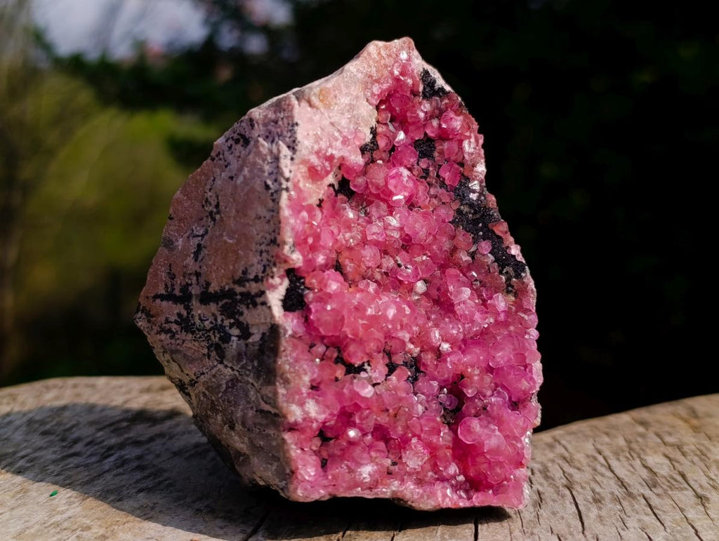 Natural Gemmy Hot Pink Botryoidal Spherocobaltite Classic Cabinet Specimen x 1 From Mashamba West Mine, Congo