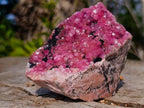 Natural Gemmy Hot Pink Botryoidal Spherocobaltite Classic Cabinet Specimen x 1 From Mashamba West Mine, Congo