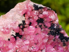Natural Gemmy Hot Pink Botryoidal Spherocobaltite Classic Cabinet Specimen x 1 From Mashamba West Mine, Congo