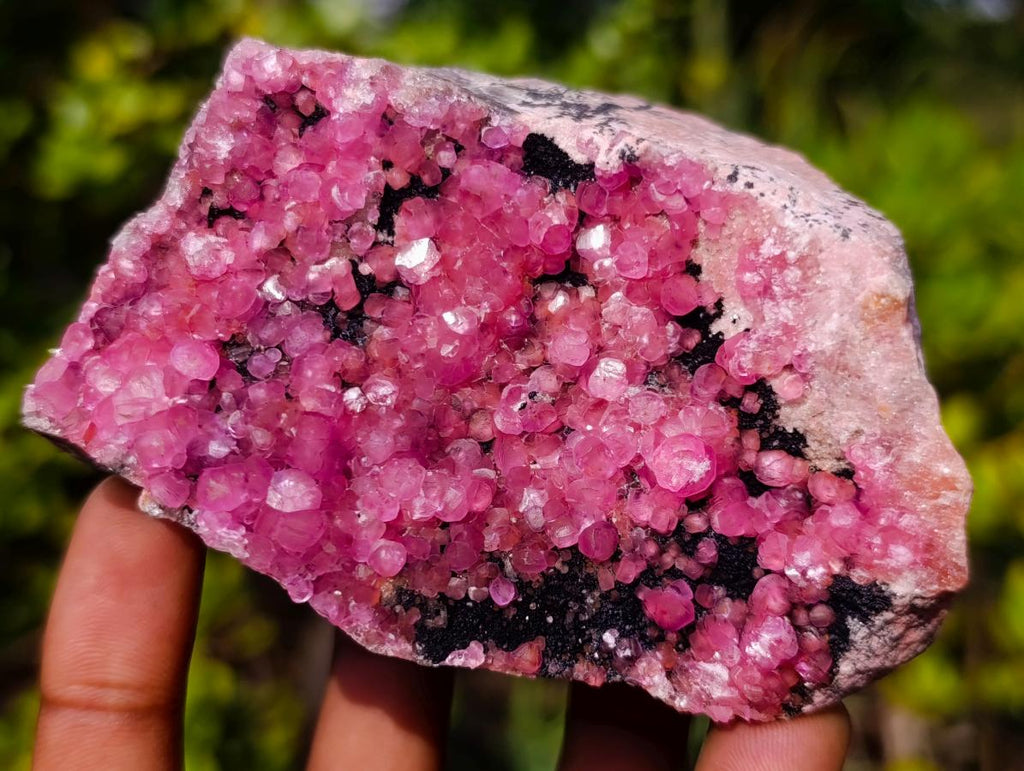 Natural Gemmy Hot Pink Botryoidal Spherocobaltite Classic Cabinet Specimen x 1 From Mashamba West Mine, Congo